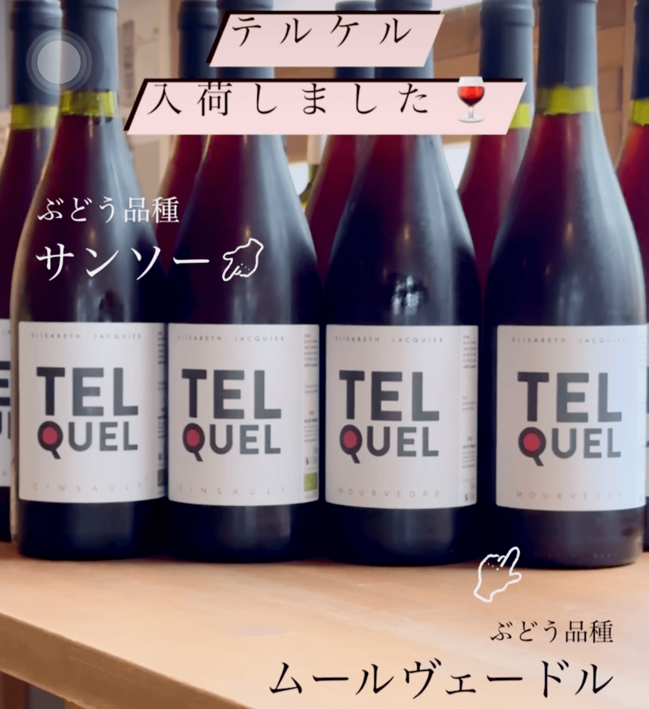テルケル入荷
